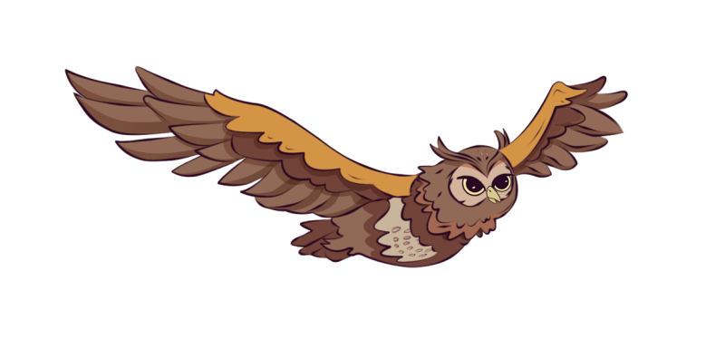 CHOUETTE_athena_envol